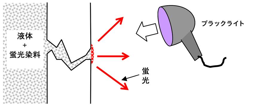 ブラックライト