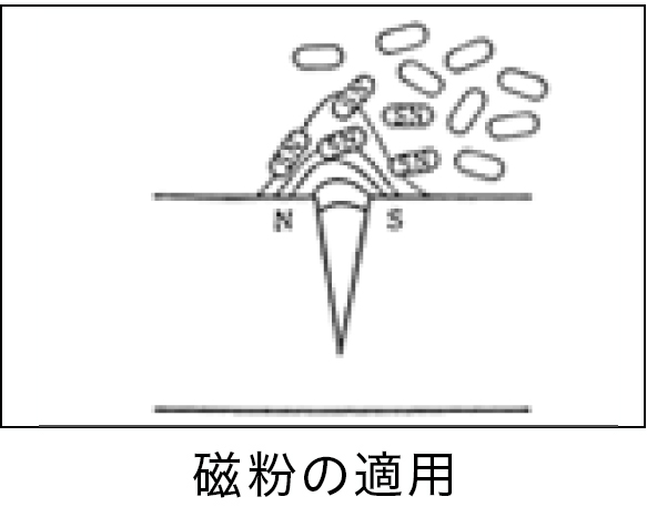 原理と手順　写真