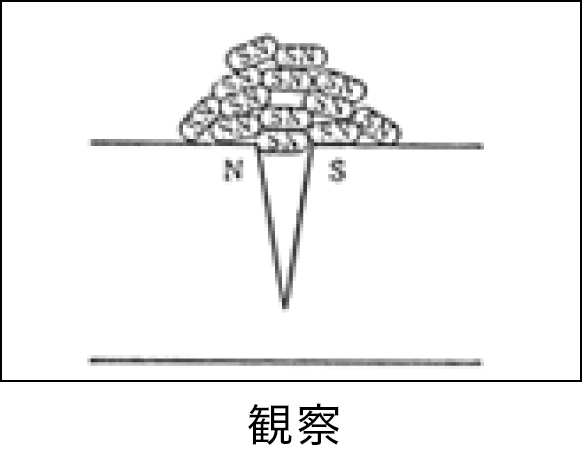 原理と手順　写真